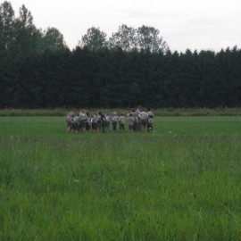 IMG 0725  Medium - Scouts en Gidsen Zaventem 